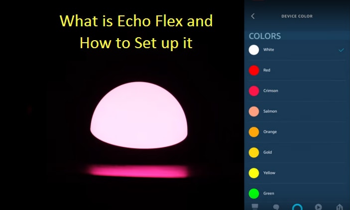 What is Echo Flex and How to Set up it