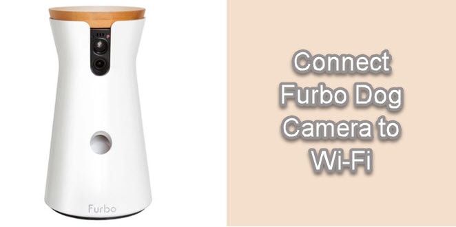 How to Connect Furbo To Wi-Fi